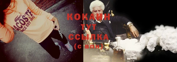 гидра Белоозёрский