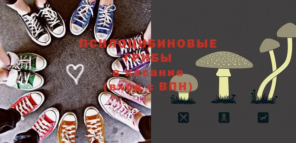 соль курить ск Белокуриха