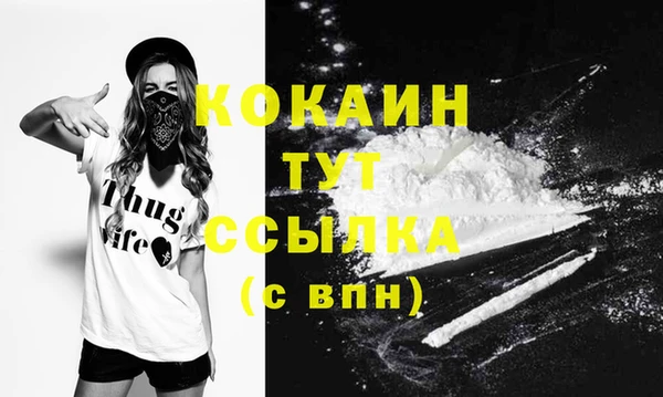 соль курить ск Белокуриха