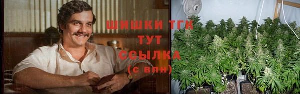гидра Белоозёрский
