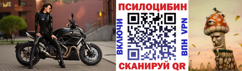 Галлюциногенные грибы мицелий Купить где Мариинский Посад
